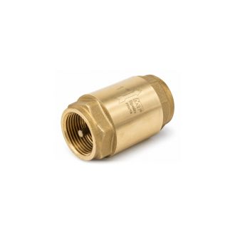 Válvula de Retenção c/ Placa Latão 1" F/F